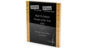 2011 Sales Representation