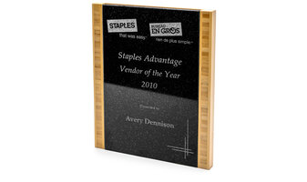 2010 Staples Advantage VEndor of the Year