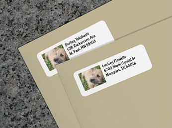 Create Photo Return Address Labels