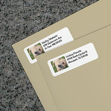 dog address labels