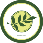 Olive Branch Simple