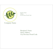 Olive Branch Simple