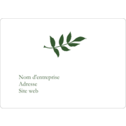 Rameau d’olivier simple