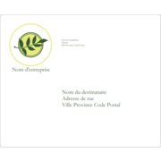 Rameau du2019olivier simple