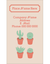 Whimsical Potted Plants
