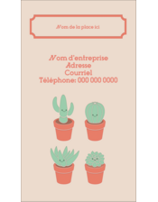 Plantes en pot fantaisistes