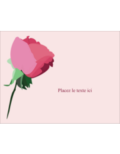 Fleurs roses