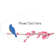 Cherry Blossoms