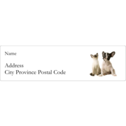 Animals Pet Care