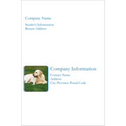 Animals Pet Care Design