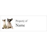 Animals Pet Care