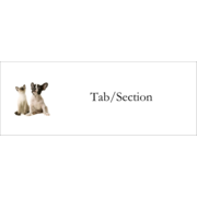 Animals Pet Care