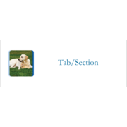 Animals Pet Care Design