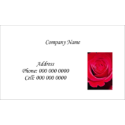 Red Rose