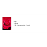 Rose rouge