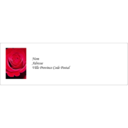 Rose rouge