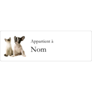 Adorables animaux de compagnie