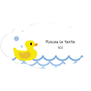 Petit canard