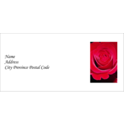 Red Rose