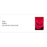 Red Rose