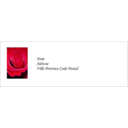 Rose rouge