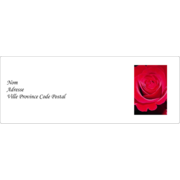 Rose rouge