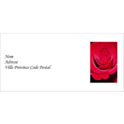 Rose rouge