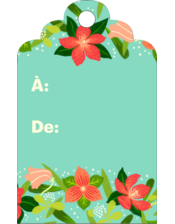 Pleine floraison