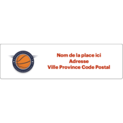 Insigne de basketball
