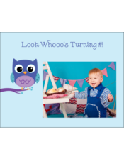 Owl Dots Blue
