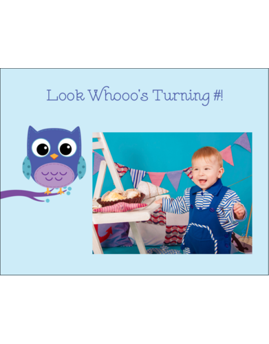 Owl Dots Blue