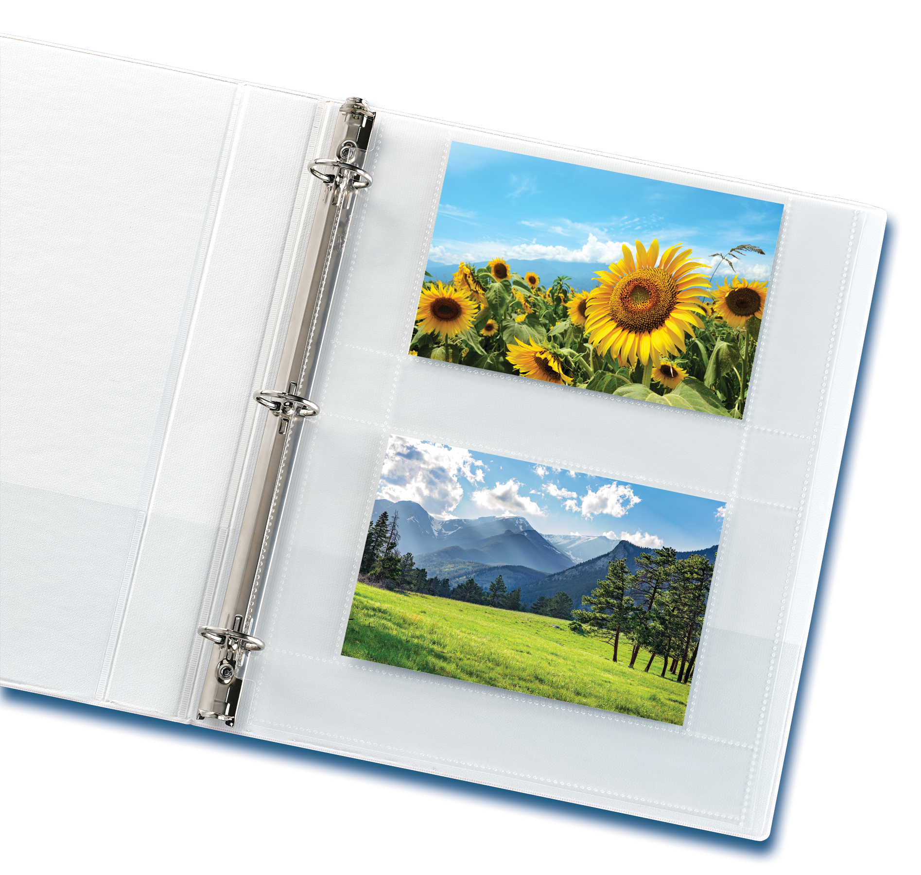 planificateur de jardin