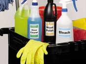 Chemical resistant cleaning material labels