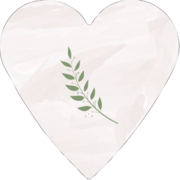Wedding Fern