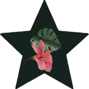Tropical Christan