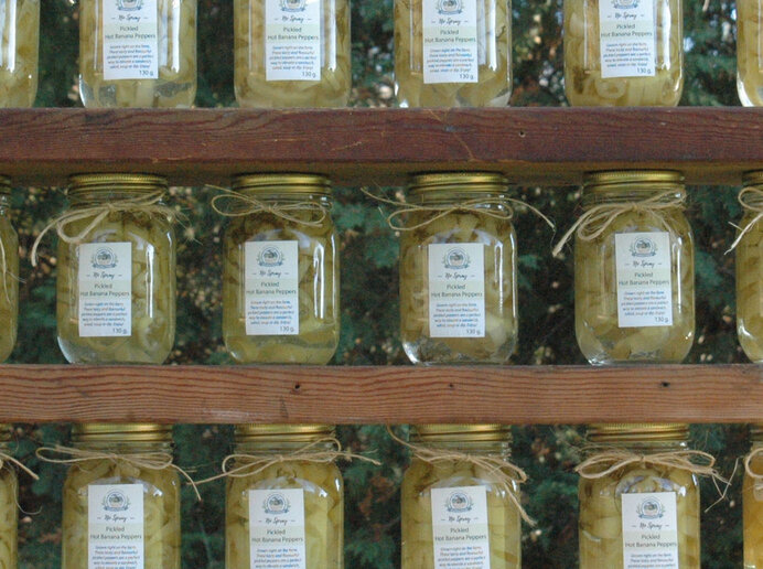 Pleins feux sur les clients : Creation Farms