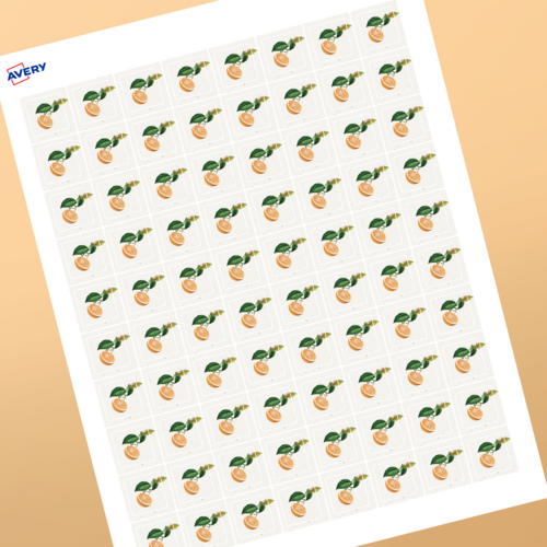 Professional Printed Square Labels