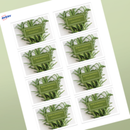 Professional Printed Rectangle Labels