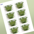 Professional Printed Rectangle Labels