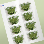 Professional Printed Rectangle Labels