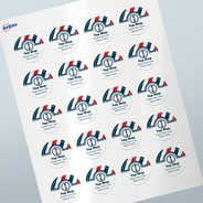 Professional Printed Round Labels