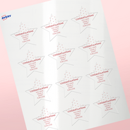 Professional Printed Star Labels
