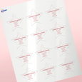 Professional Printed Star Labels