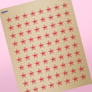 Professional Printed Star Labels