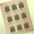 Professional Printed Arched Labels