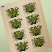 Étiquettes rectangulaires