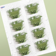 Professional Printed Rectangle Labels