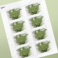 Professional Printed Rectangle Labels