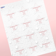 Professional Printed Star Labels