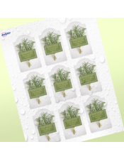 Professional Printed Arched Labels